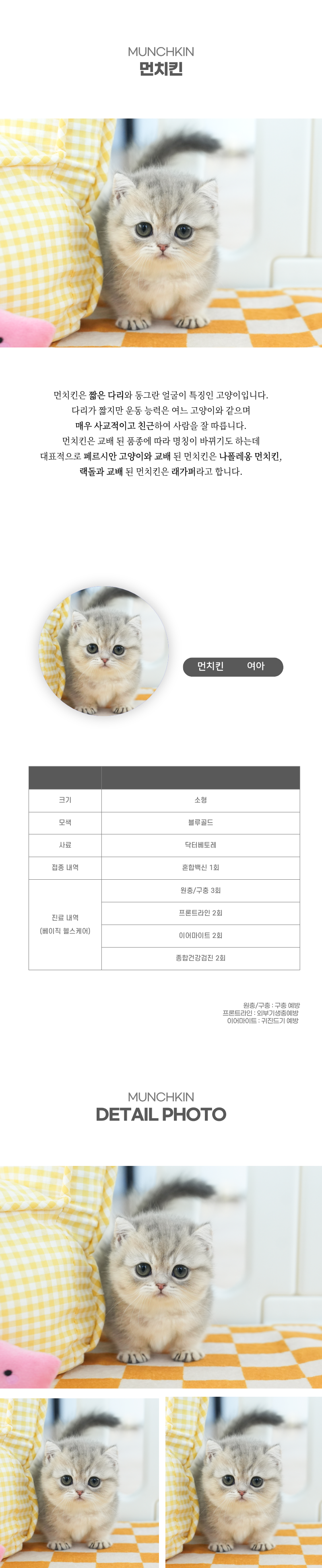 먼치킨_상세이미지_2